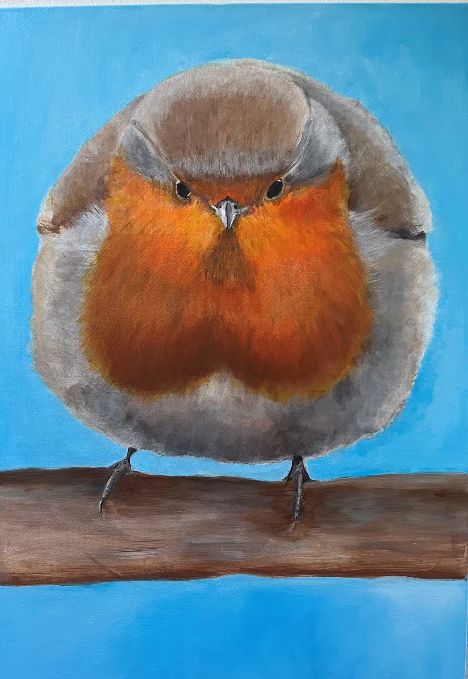 Schilderijen, de dikke baby roodborst - Karin Terwisse